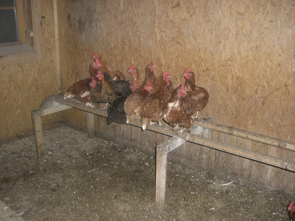 Séjour à la ferme Vorderstockerhof *